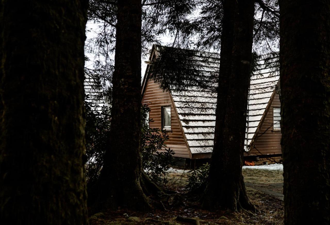 The Triangle Lodge Инвъргари Екстериор снимка